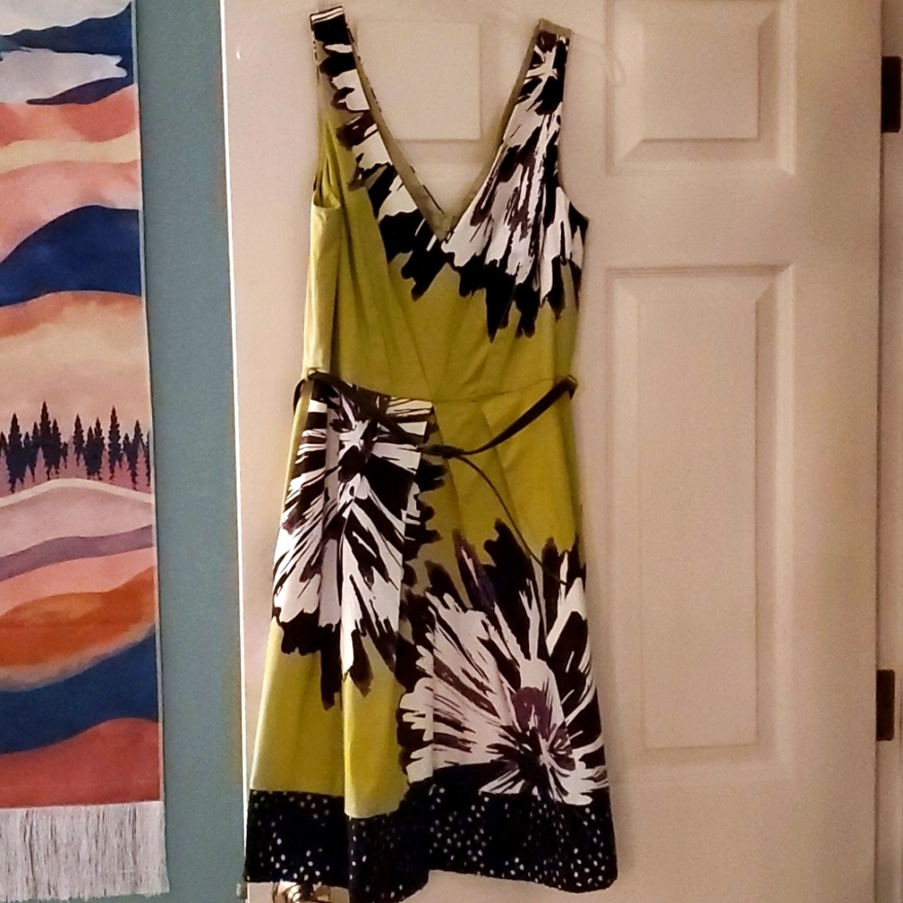 NWOT belted dress